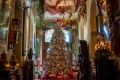 Feature Christmas Tree up close—Tampa Bay Hotel
